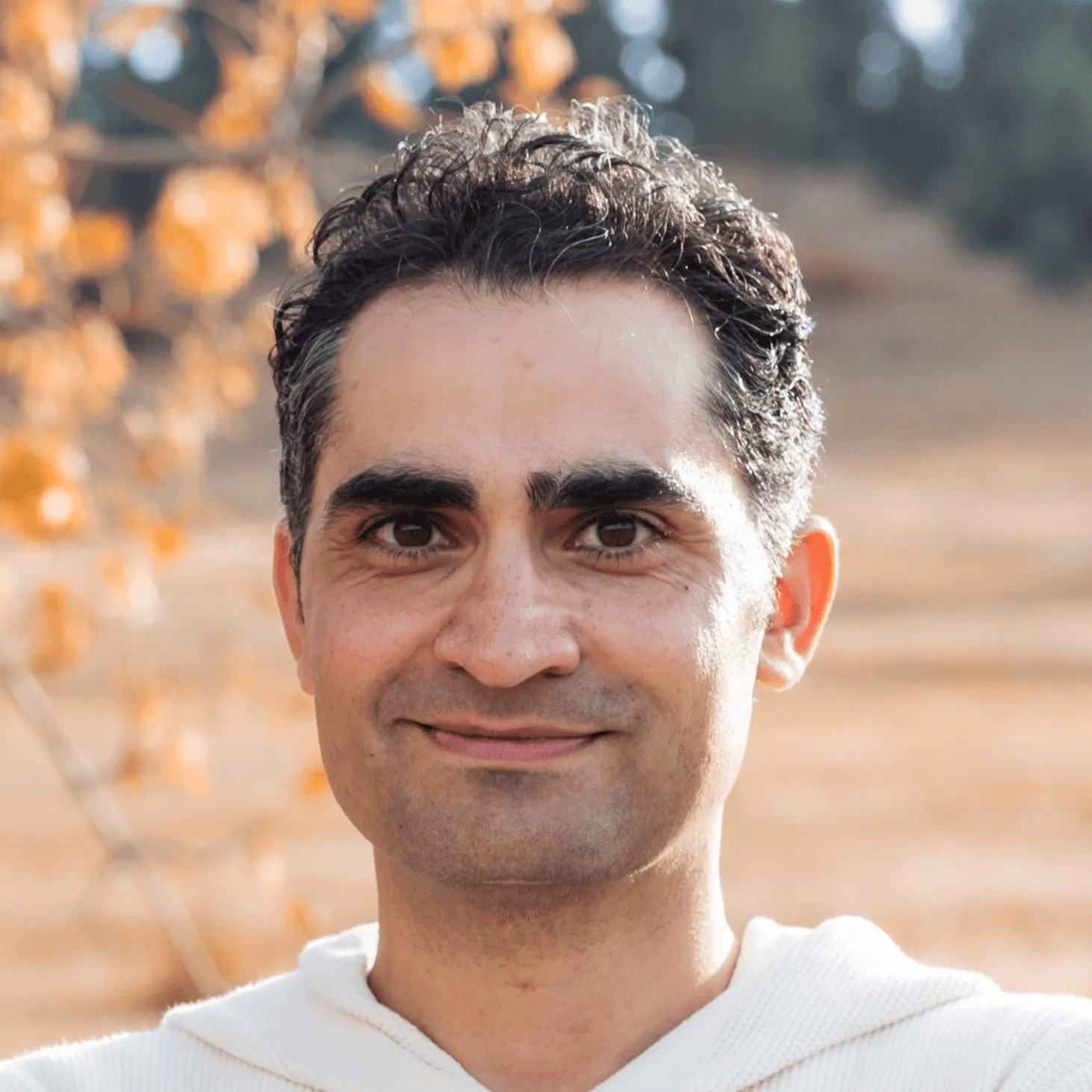 Mehdi Partou